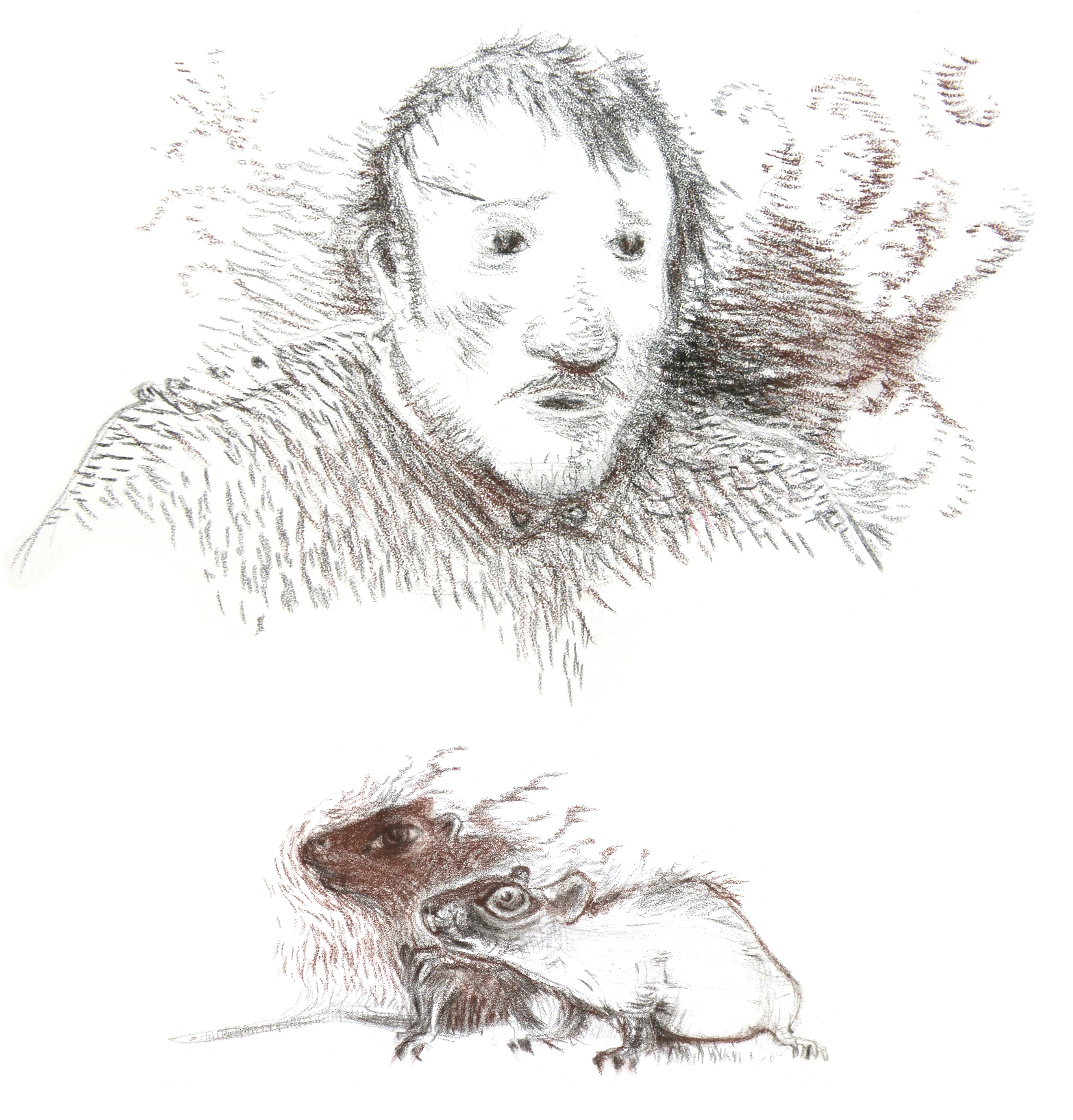 Illustratsioon